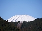 hakone1101_476_17 1009.jpg