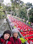 20110226katuura_0048.jpg