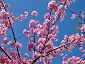 20110226katuura_0186.jpg