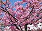 20110226katuura_0190.jpg