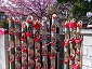 20110226katuura_0201.jpg