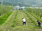 hokkaido1105 0487 25 1430.jpg