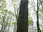 hokkaido1105 1077 27 1014.jpg