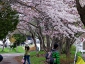 sapporo12spring_0031 07 0953.jpg