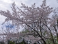 sapporo12spring_0047 07 1219.jpg