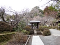 kamakura201302_052 1114.jpg