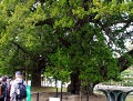 kamakura201302_099 1253.jpg