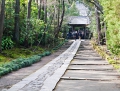 kamakura201302_117 1352.jpg