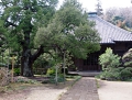 kamakura201302_118 1355.jpg