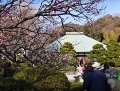 kamakura201302_139 1508.jpg