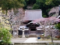 kamakura201302_026 1034.jpg