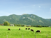 austria 2187.jpg
