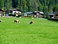 austria 2642.jpg