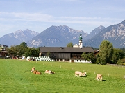 austria 1020.jpg