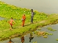 bangla0619_27 1540.jpg