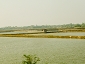 bangla0718_27 1727.jpg