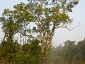 bangla1263_28 1039.jpg