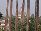 bangla2617_29 1816.jpg