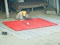 bangla4207_31 2015.jpg
