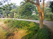 bangla4312_01 1202.jpg