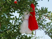 bulgaria5408 05 1550.jpg