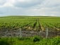 bulgaria3446 02 2210.jpg