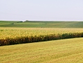france3_0705 06 1534.jpg