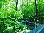 hungary 0789 07 2240.jpg