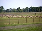 hungary 2838 11 0004.jpg