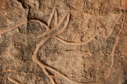 libya_4390.jpg