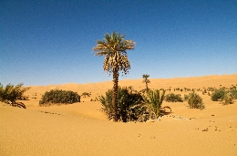 libya_5020.jpg