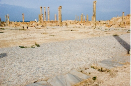 libya_0637.jpg