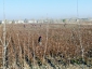 turkmenistan_ 0168 24 1403.jpg
