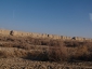 turkmenistan_ 1733 26 1316.jpg