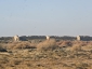 turkmenistan_ 1845 26 1422.jpg