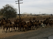 turkmenistan_ 2205 27 1228.jpg